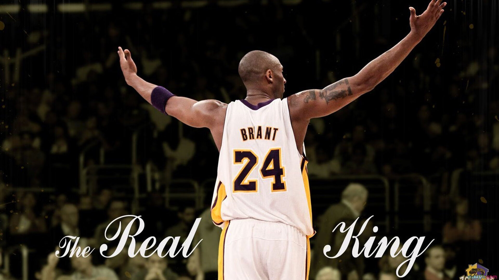 青训“飞跃”计划：多地打造高水平青少年篮球训练基地，青少年篮球培训招生简章